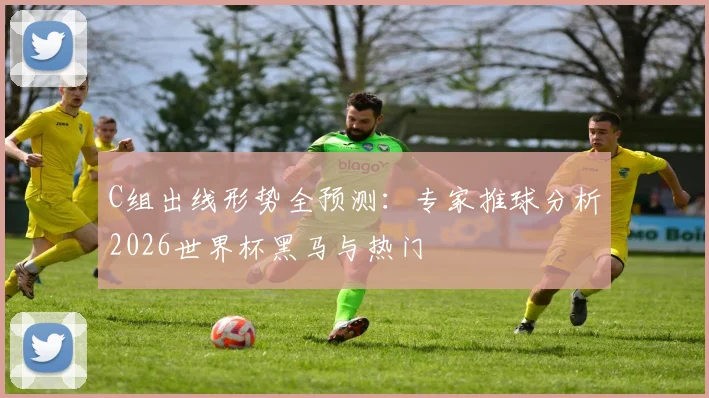 C组出线形势全预测:专家推球分析2026世界杯黑马与热门