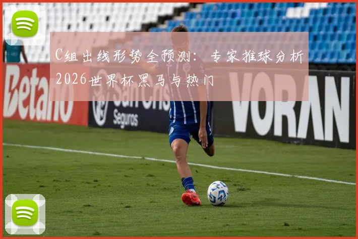 C组出线形势全预测:专家推球分析2026世界杯黑马与热门