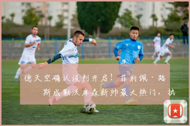 德天空确认谈判开启！菲利佩·路易斯成勒沃库森新帅最大热门，执教前景分析
